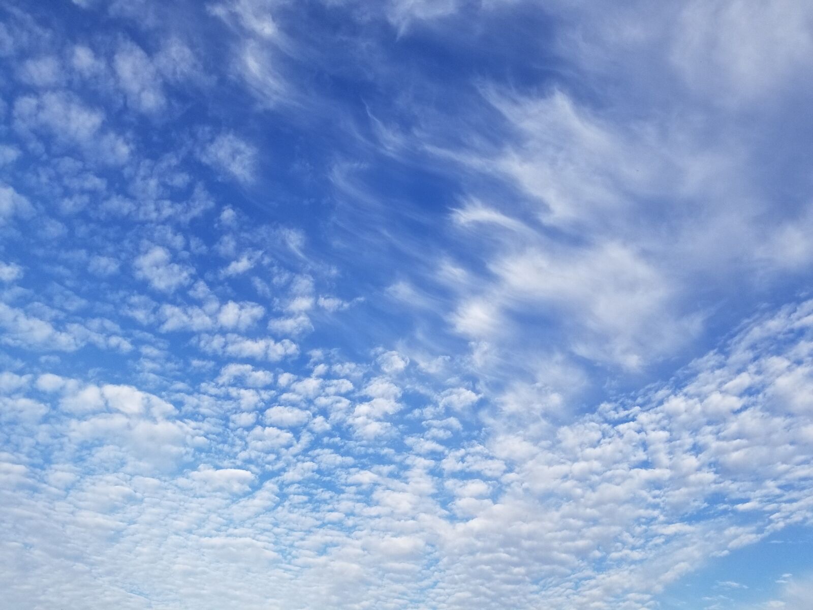 Samsung Galaxy S8 sample photo. Sky, cloud, blue photography