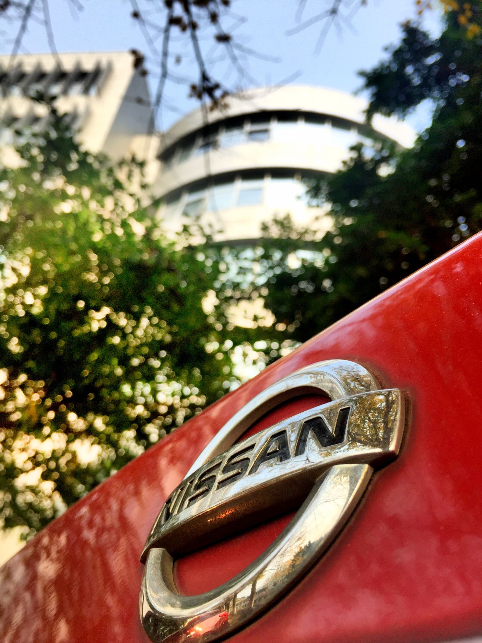 Apple iPhone 6 sample photo. Nissan, sunshine, vehicle logo photography