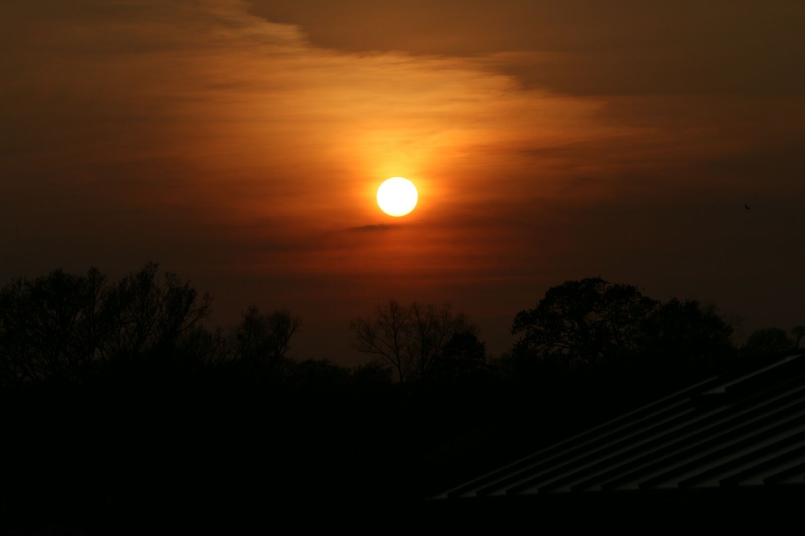 Canon EOS 70D sample photo. Sunset, spring, dusk photography