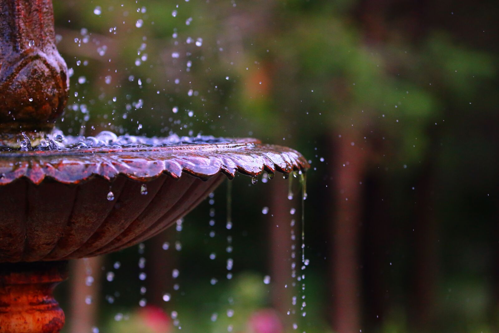 Canon EOS 5D Mark III sample photo. Fountain, water, garden photography