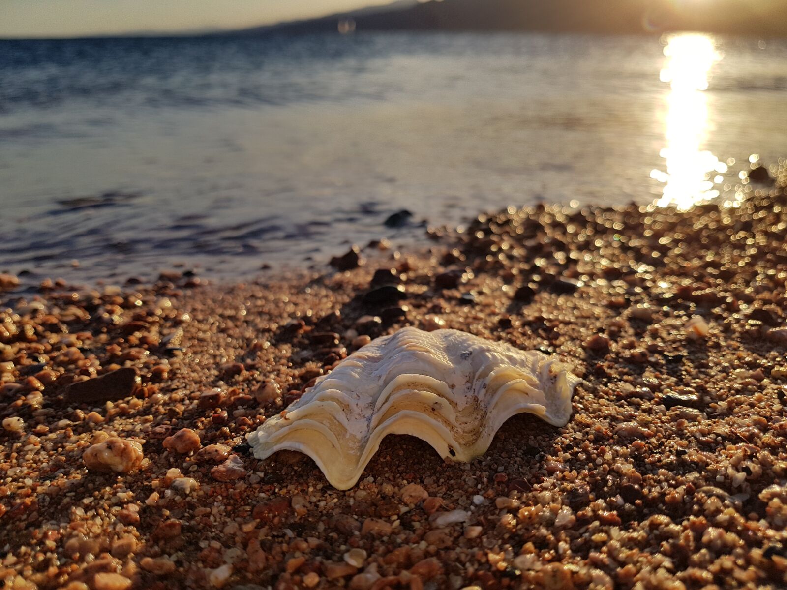 Samsung Galaxy S8 sample photo. Sand, beach, seashore photography
