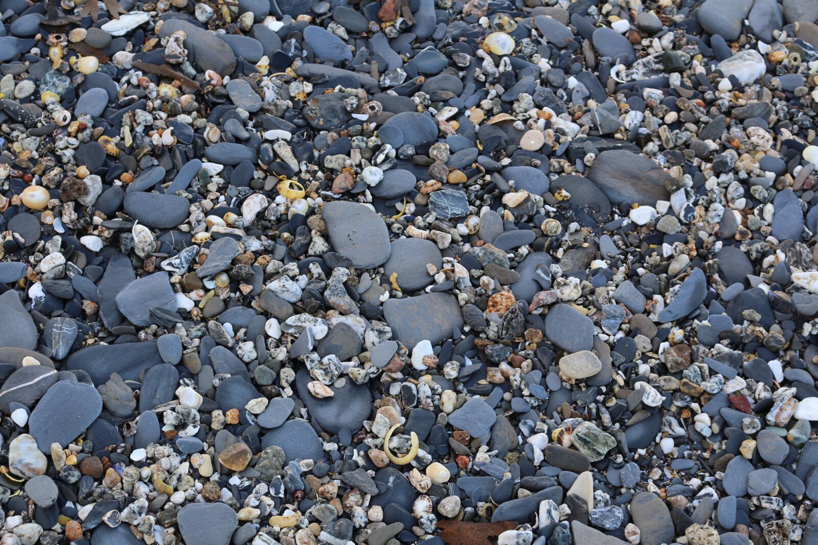 Canon EOS 700D (EOS Rebel T5i / EOS Kiss X7i) sample photo. Stones, pebbles, beach photography