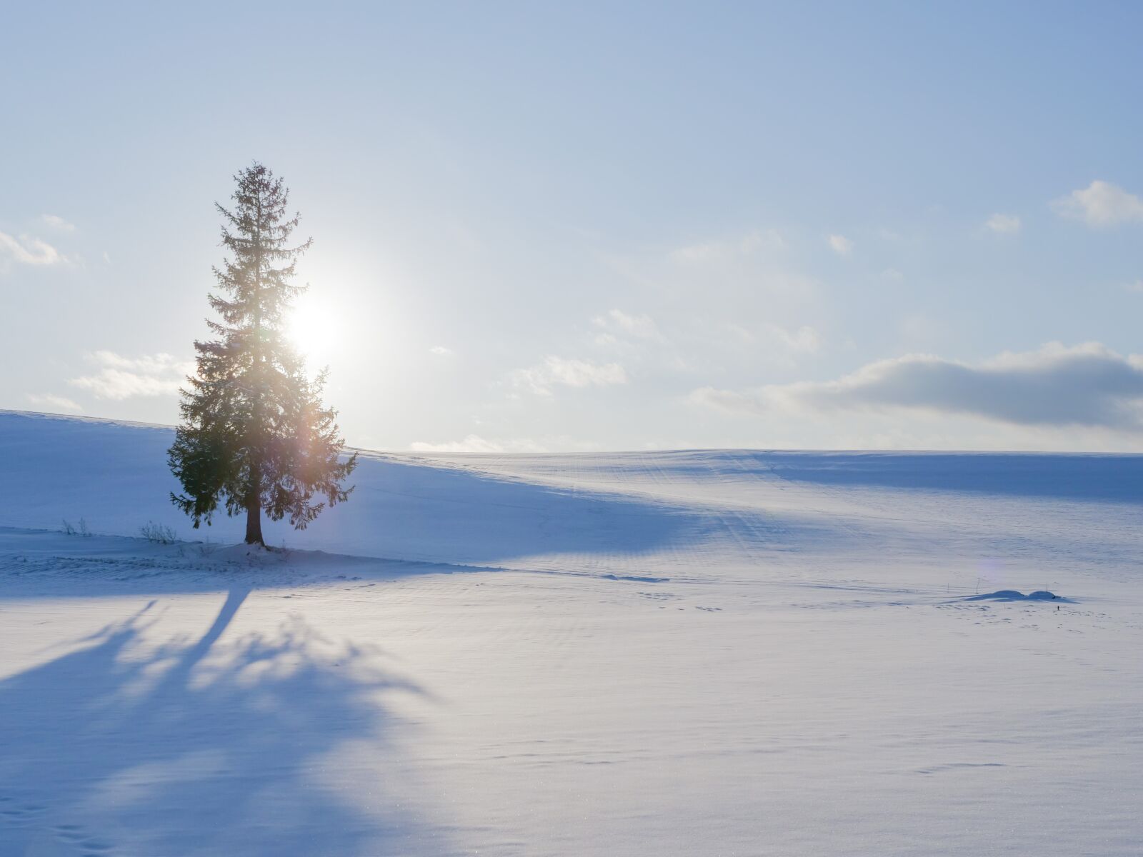 LEICA DG 12-60/F2.8-4.0 sample photo. Winter, snow, hill photography