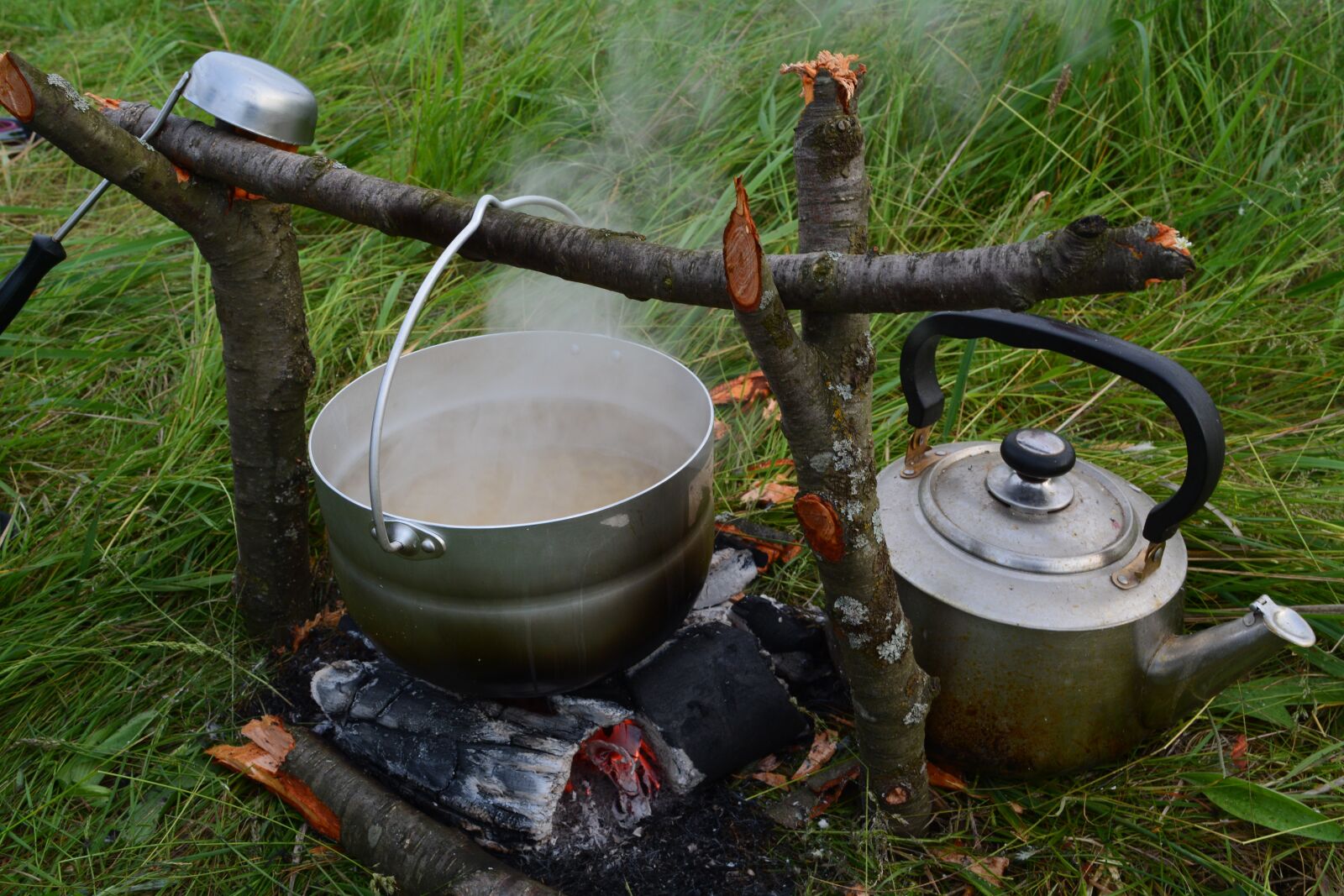 Nikon D5200 sample photo. Hearth, coals, summer photography