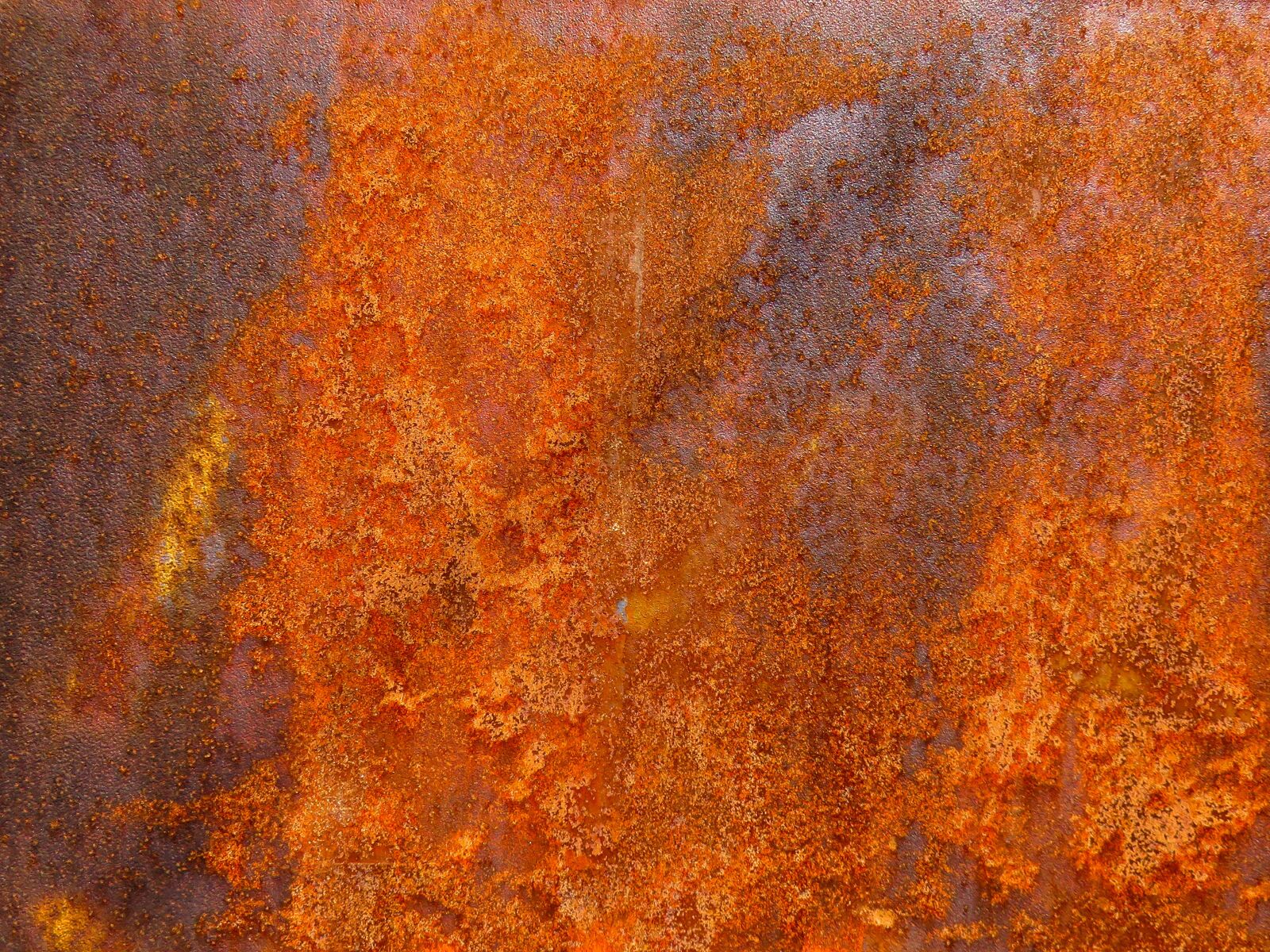 Canon PowerShot SX710 HS sample photo. Texture, background, rust photography