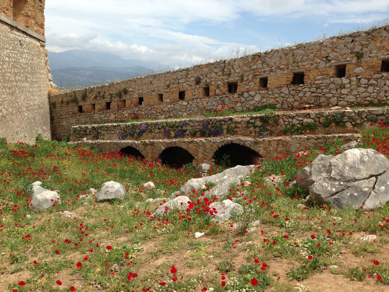 Apple iPhone 5 sample photo. Greece, flower, wall photography