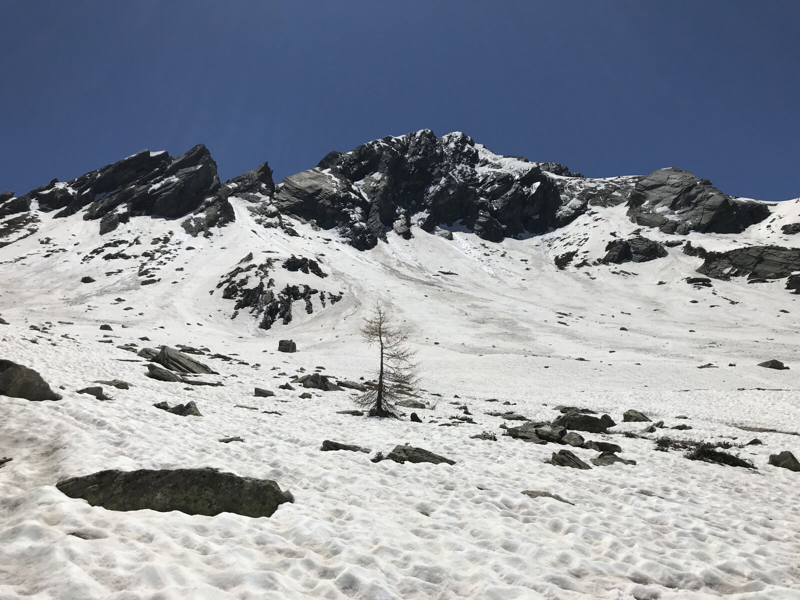 iPhone 7 back camera 3.99mm f/1.8 sample photo. Panorama from alp de photography