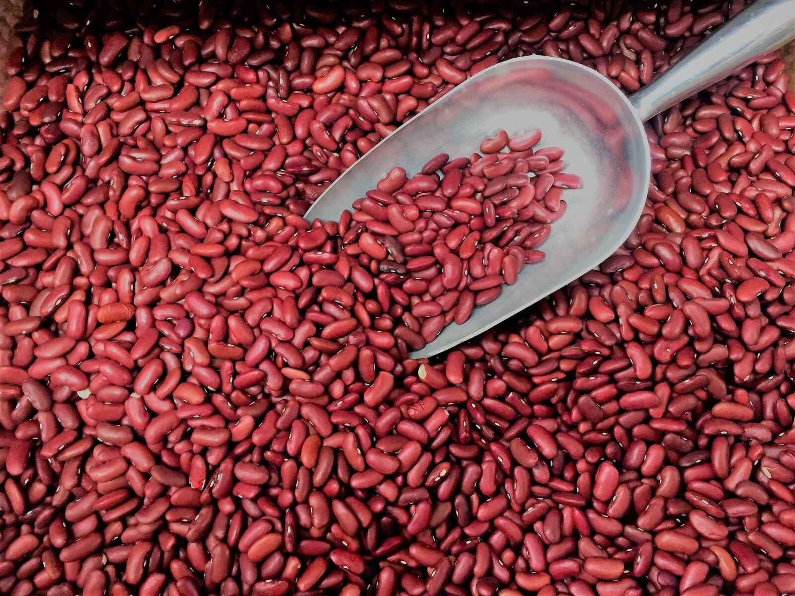 Apple iPhone 6 sample photo. Red, kidney, bean photography
