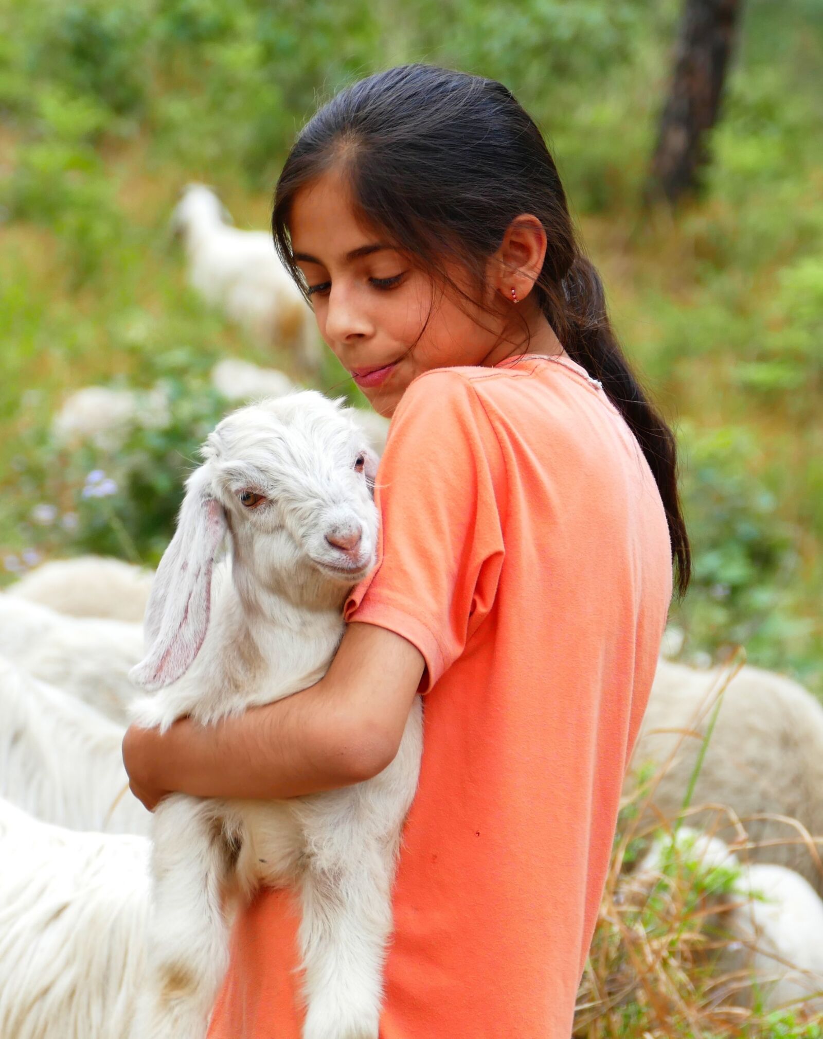 Panasonic Lumix DMC-FZ1000 sample photo. Child, goat, hug photography