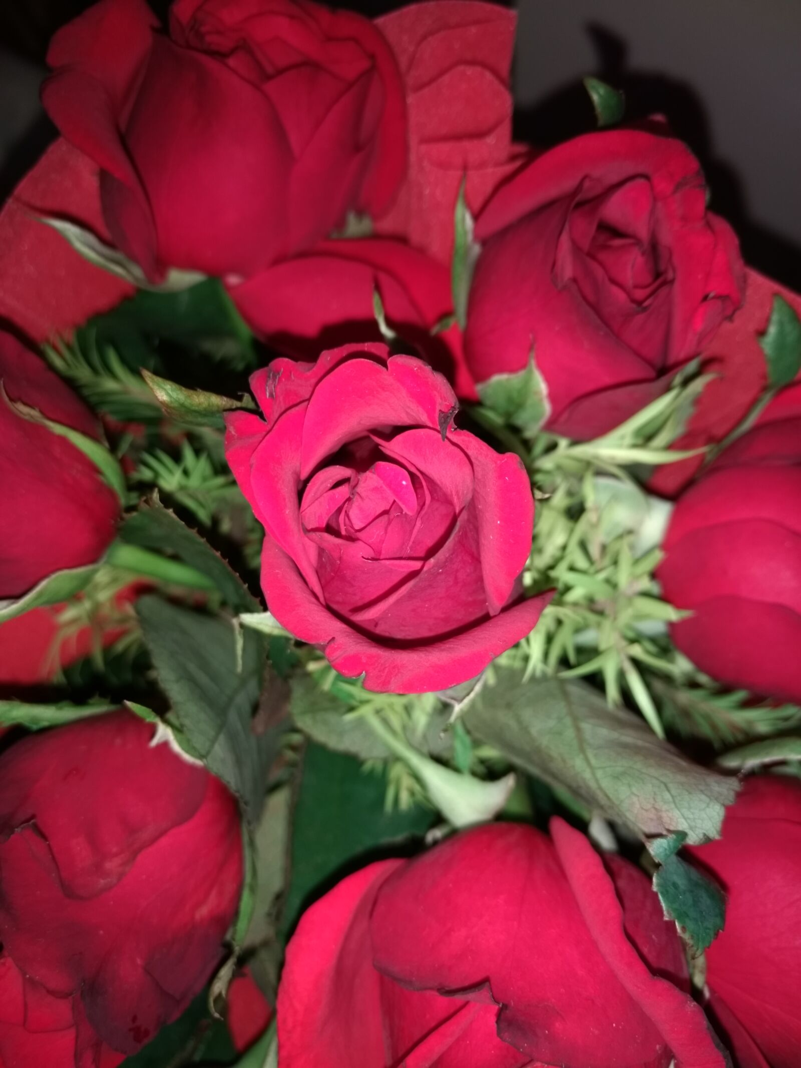 Motorola Moto G (4) sample photo