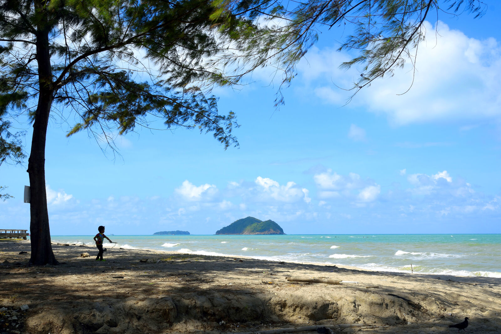 Nikon D5300 sample photo. Asia, beach, blue, blusky photography