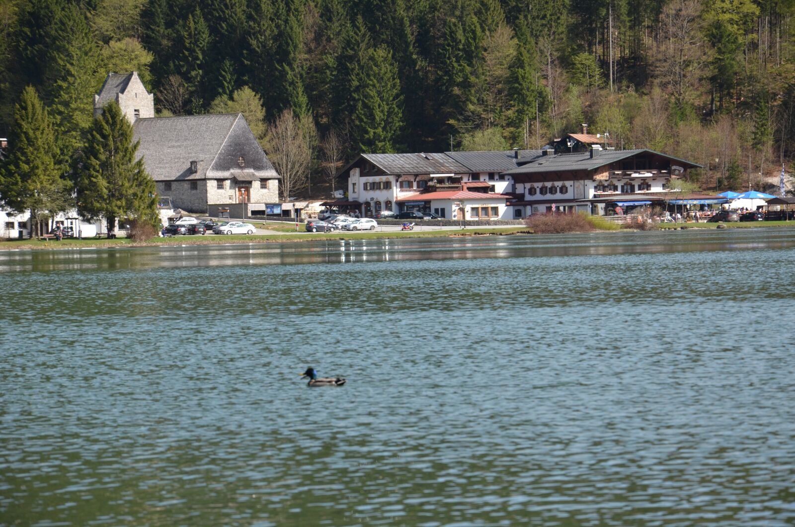 Nikon D7000 sample photo. Waters, lake, river photography