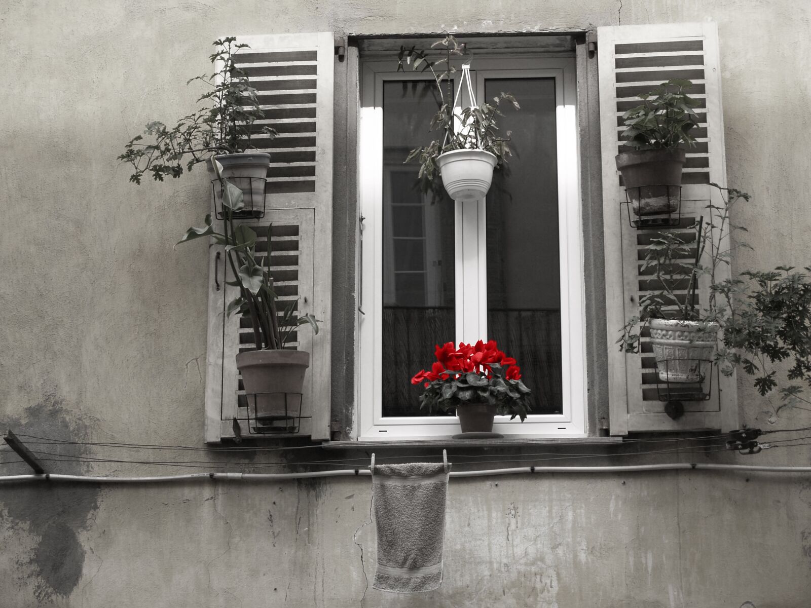 Olympus E-500 (EVOLT E-500) sample photo. Window, france, flower photography