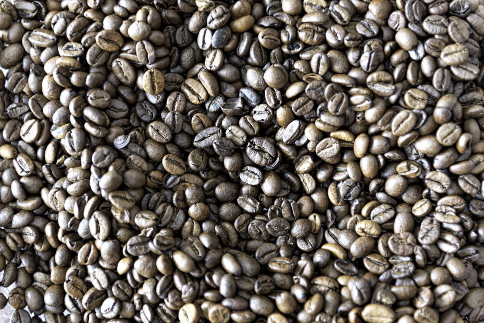 Nikon D610 sample photo. Roasted coffee beans, java photography