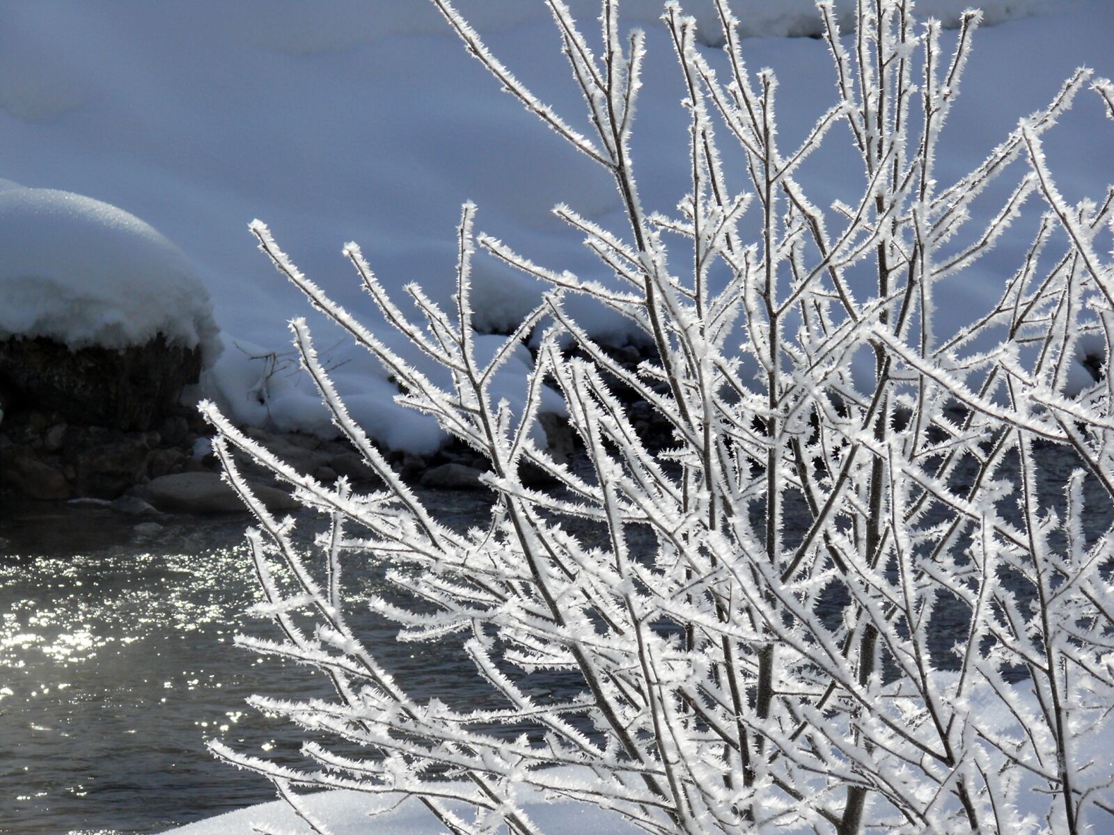 Leica V-LUX 1 sample photo. Ice, eiskristalle, winter photography