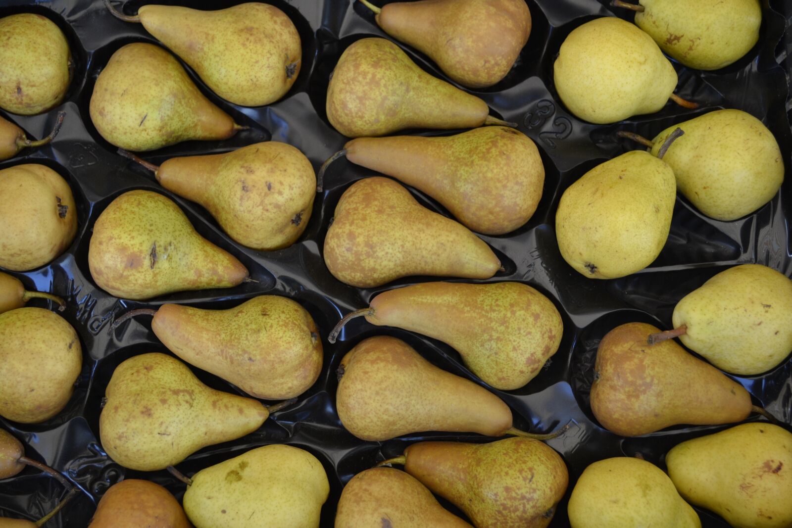 Nikon D3100 sample photo. Pear, pears, fruit photography