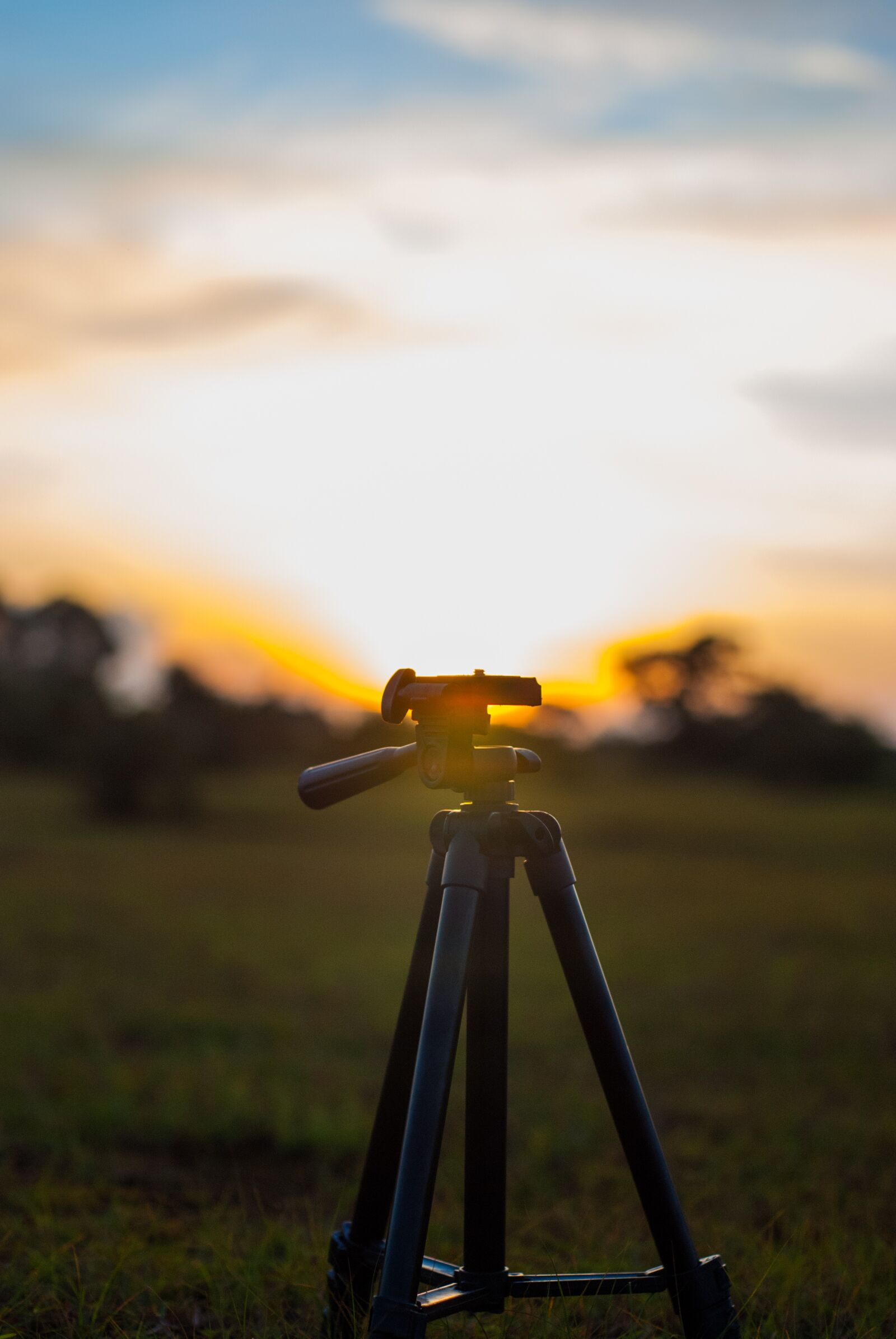 Nikon D80 sample photo. Tripod, sun, sunset photography