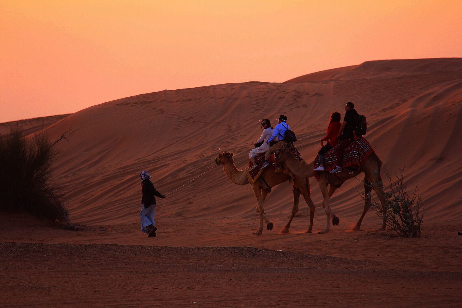 Canon EF-S 18-200mm F3.5-5.6 IS sample photo. Sunset, dawn, desert photography