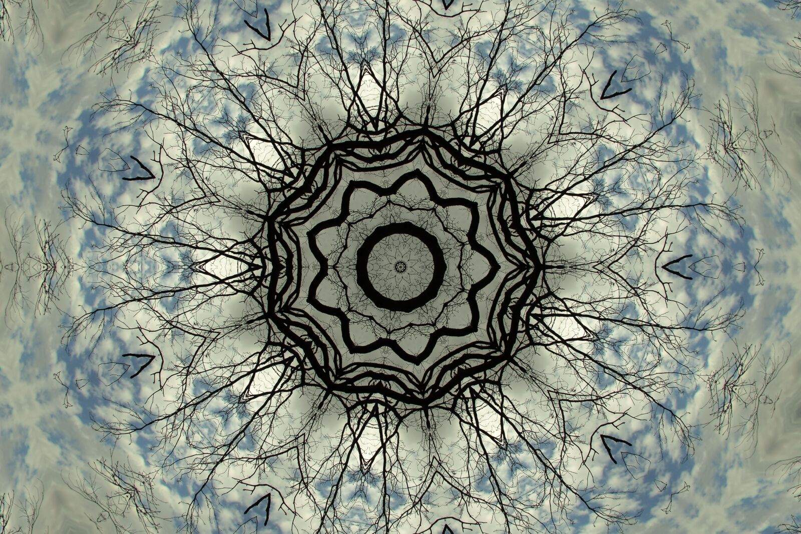 Canon EOS 7D Mark II sample photo. Fractal, tree, circle photography
