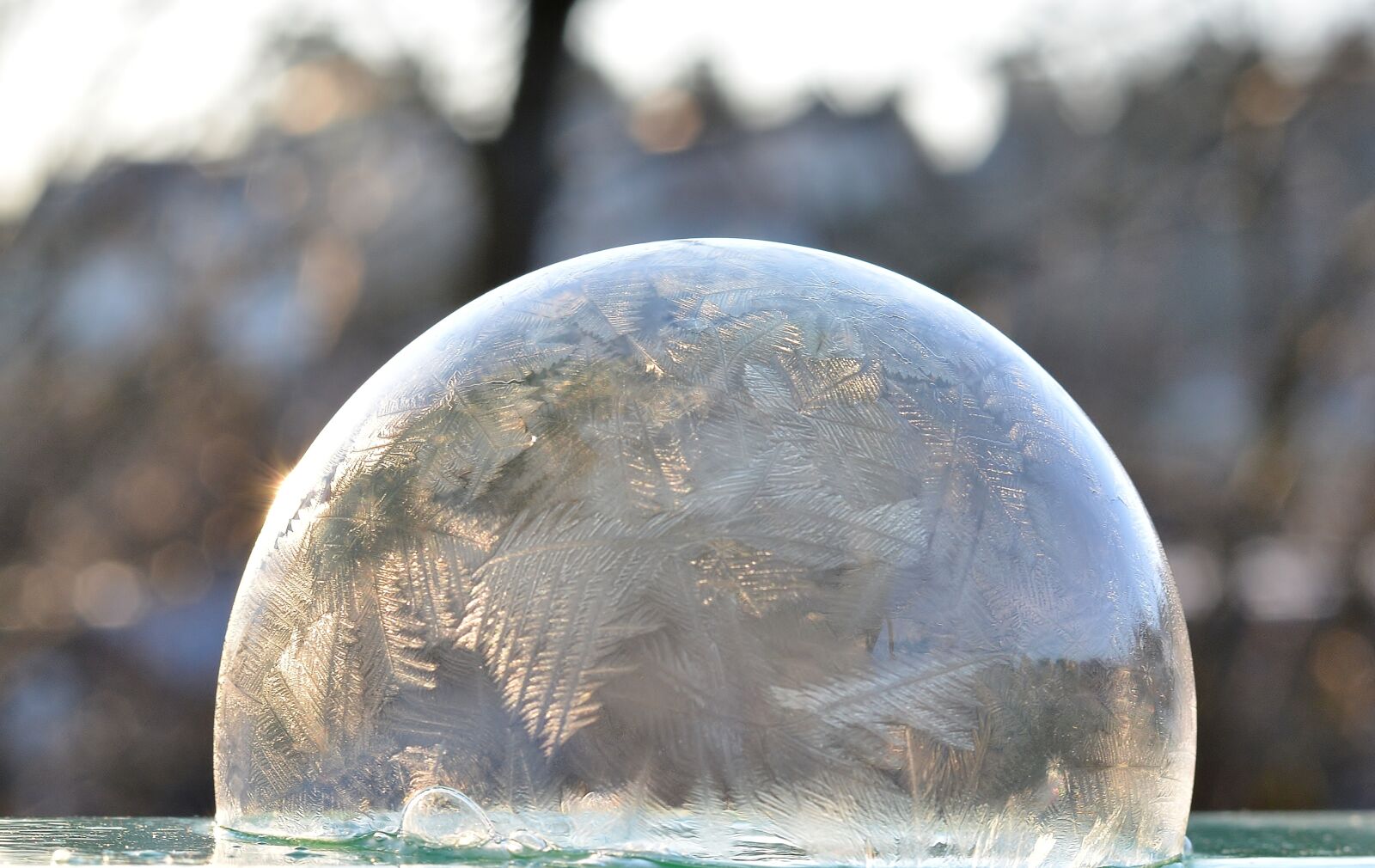 Nikon D5200 sample photo. Winter, frozen bubble, wintry photography