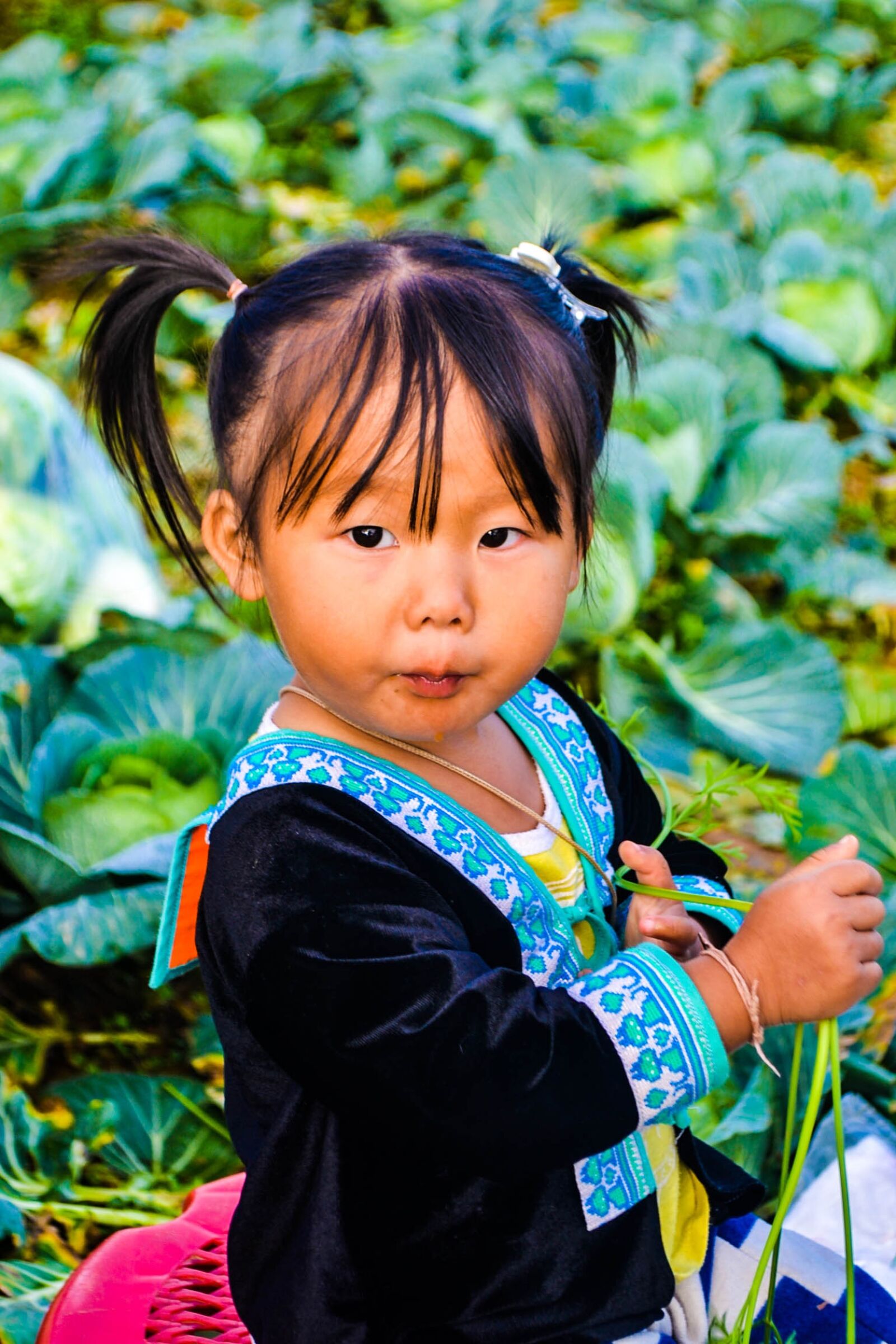 Nikon D3100 sample photo. Child, little, nature photography
