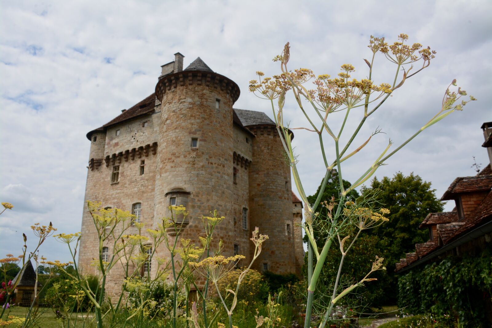 Nikon D7100 sample photo. Castle, flowers, yellow photography