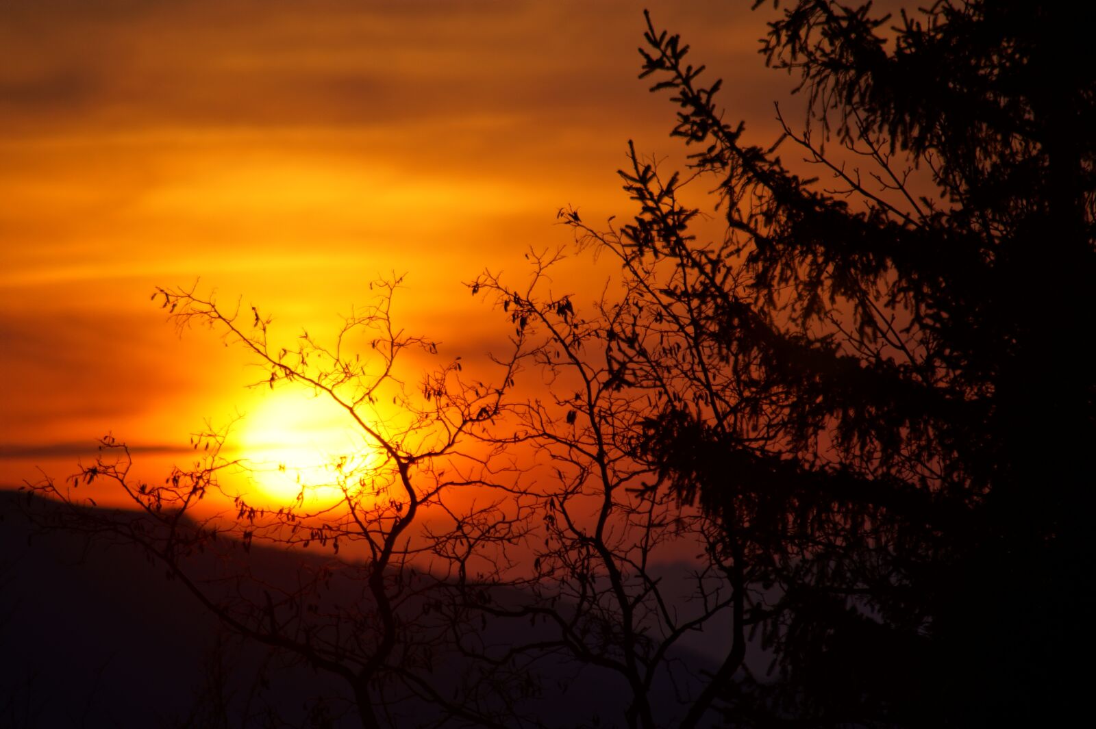 Sony SLT-A58 sample photo. Sunset, nature, landscape photography
