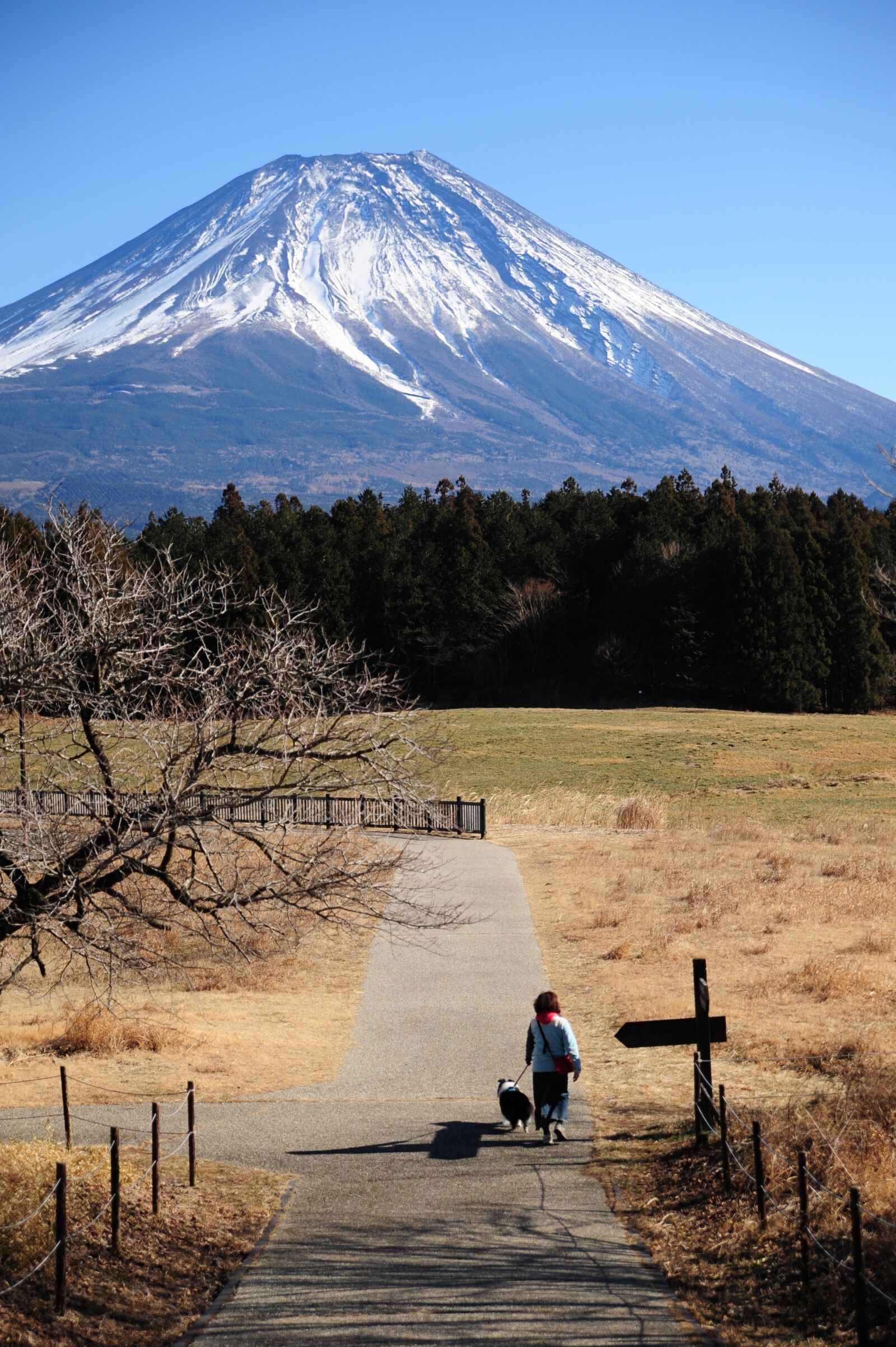 Nikon D700 sample photo. Mountain, natural, landscape photography