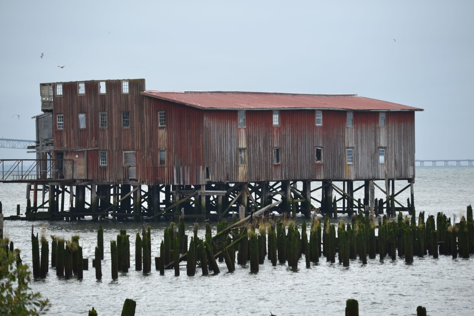 Nikon D3100 sample photo. Water, outdoors, pier photography