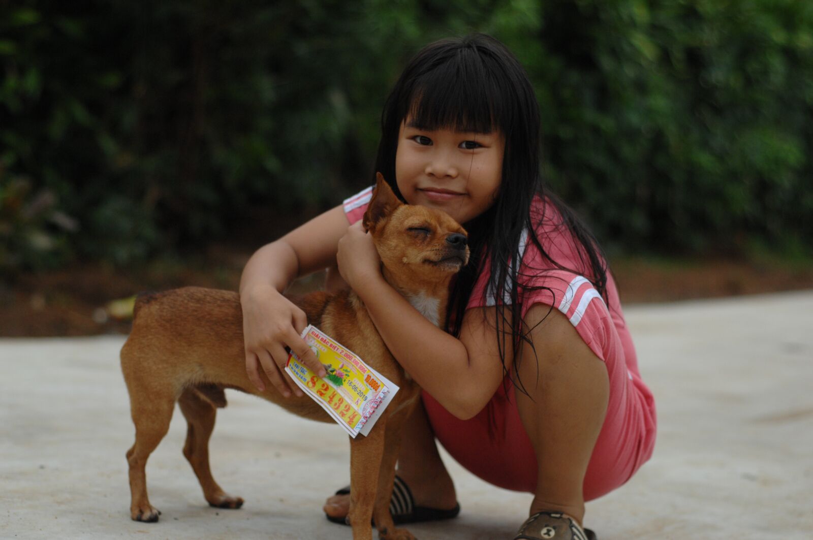 Nikon D2Xs sample photo. Dog, girl, female photography