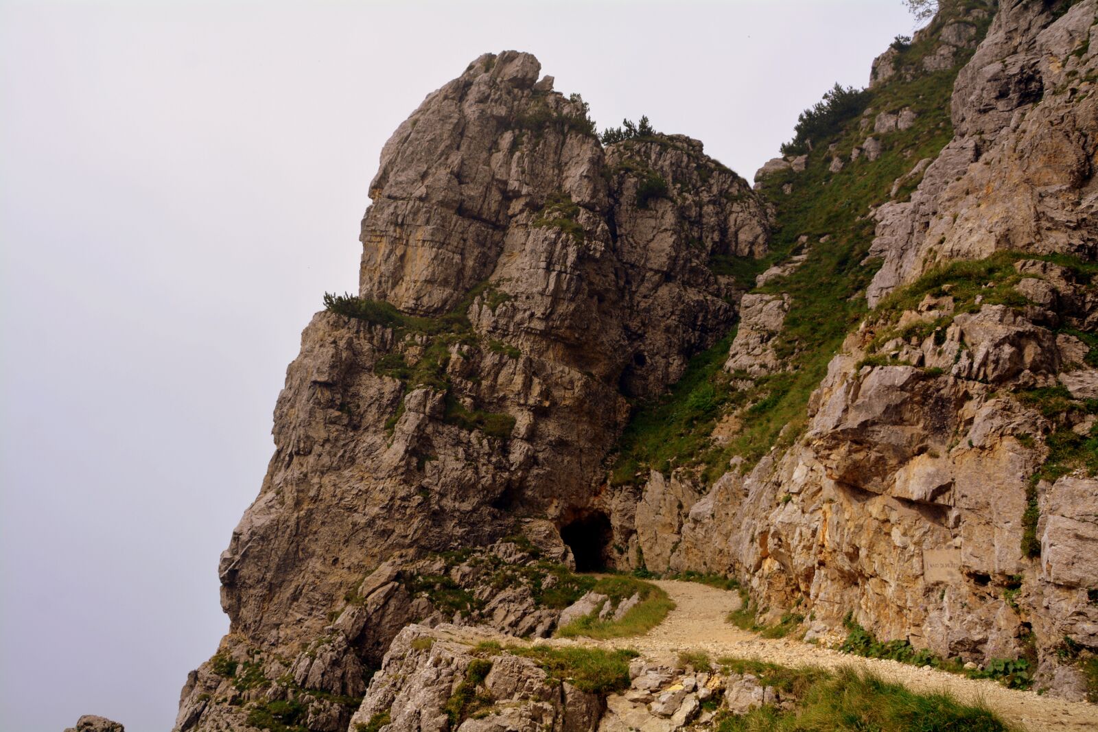 Nikon D7100 sample photo. Entry, gallery, trail photography