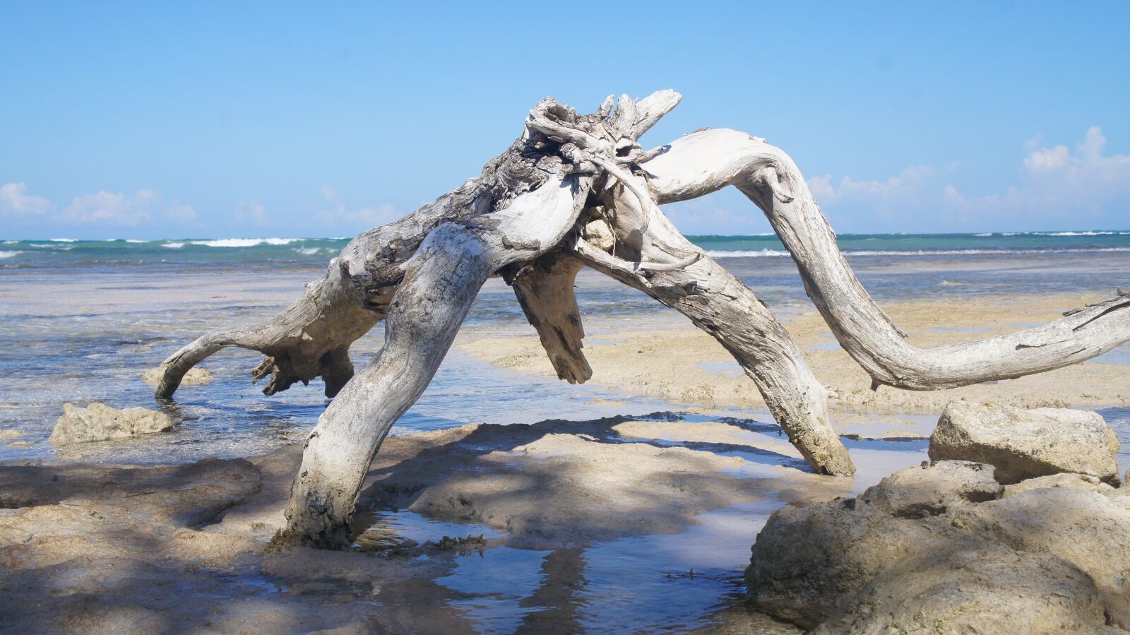 Sony Alpha NEX-C3 + Sony E 18-55mm F3.5-5.6 OSS sample photo. Beach, jamaica, caribbean photography