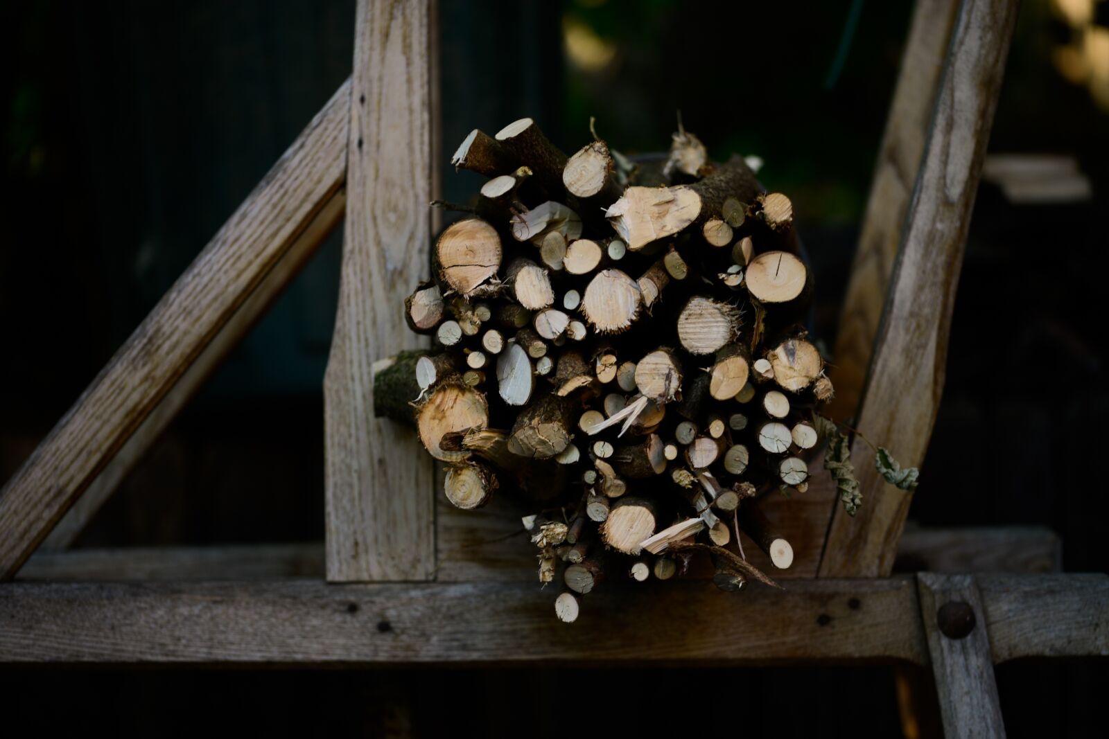 Nikon D600 sample photo. Wood, stored, cut photography