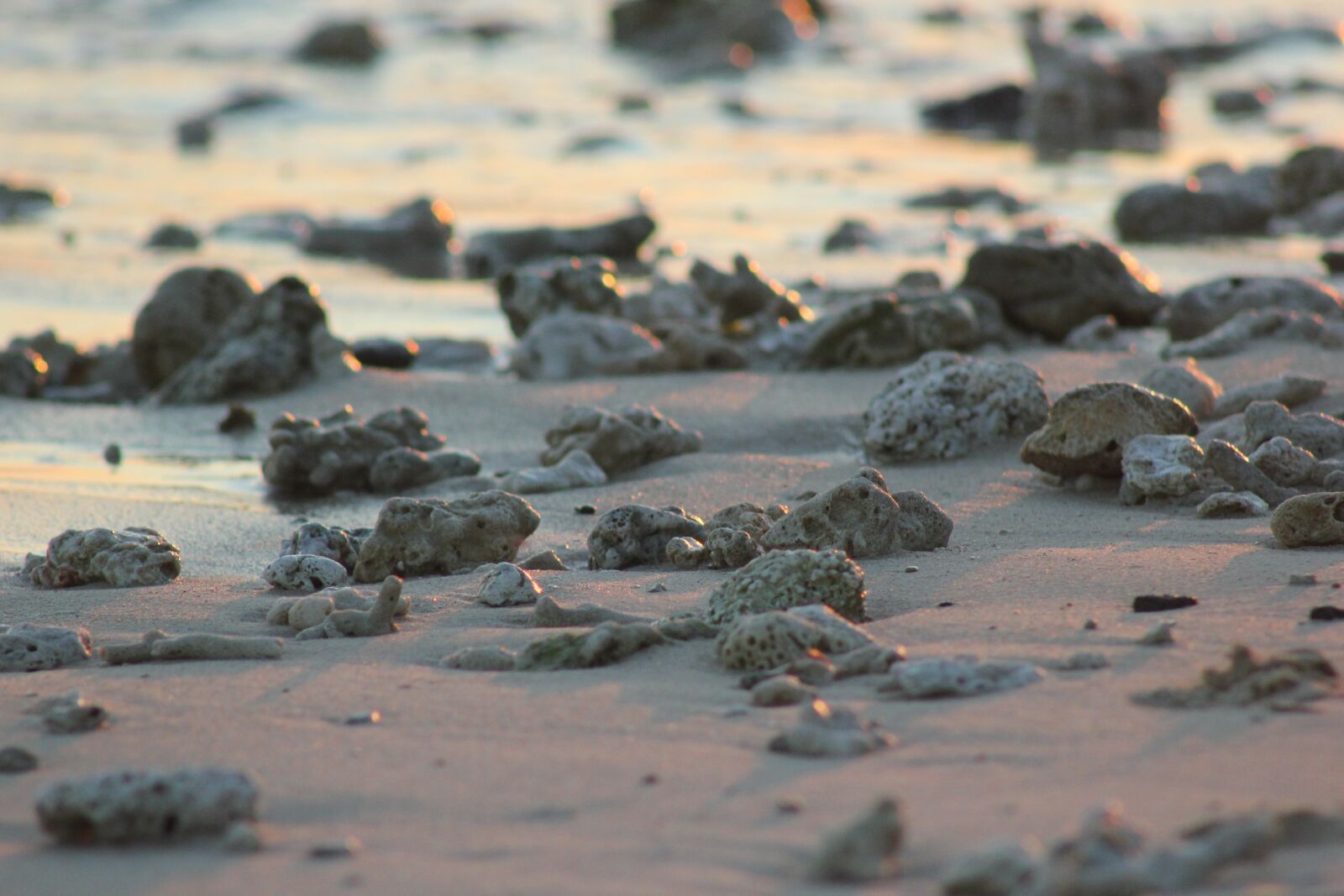 Canon EOS 550D (EOS Rebel T2i / EOS Kiss X4) sample photo. Sand, rocks, pebbles photography