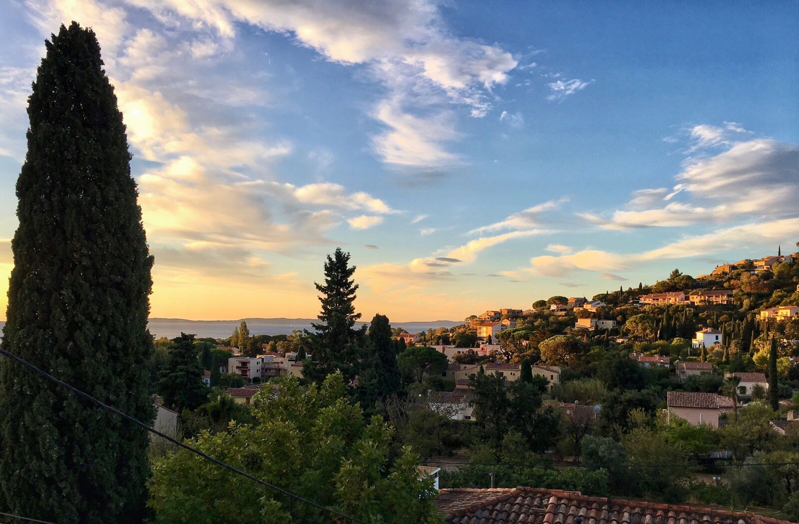 Apple iPhone 6s sample photo. Panoramic, tree, travel photography