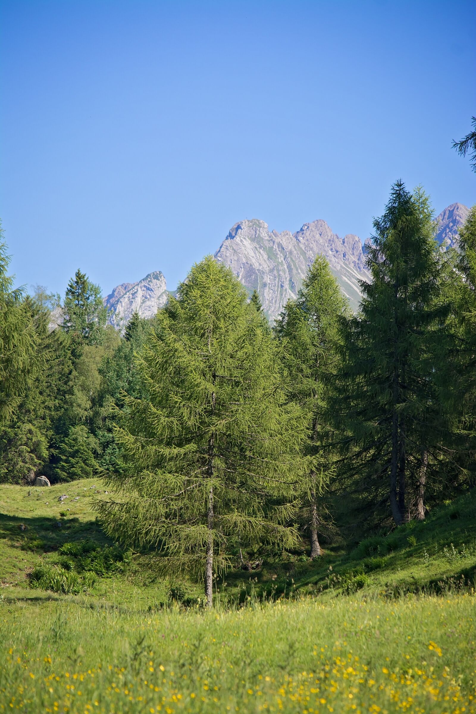 Nikon D7100 sample photo. Landscape, nature, summer photography