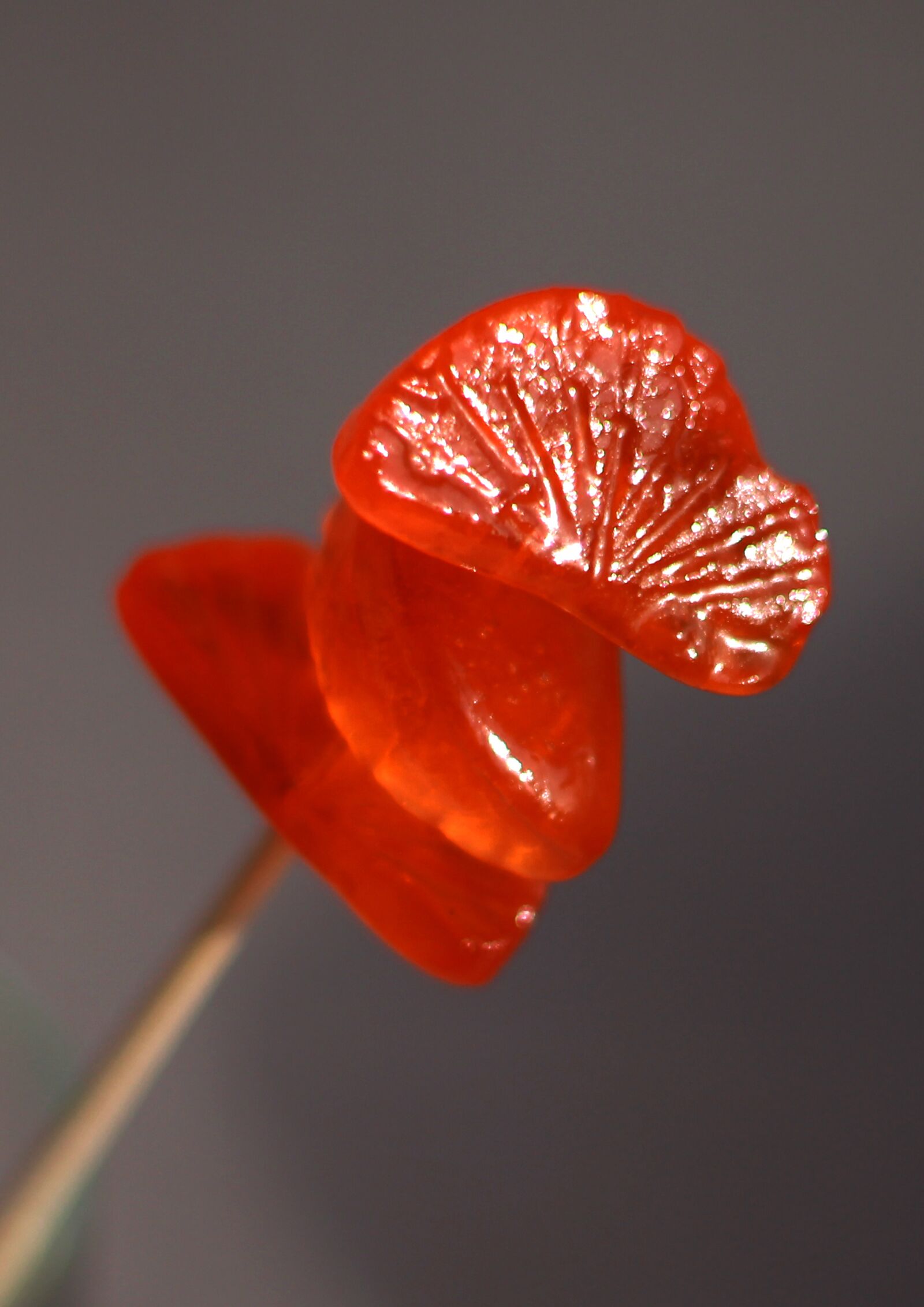 Canon EOS 1200D (EOS Rebel T5 / EOS Kiss X70 / EOS Hi) sample photo. Marmalade, tangerine, candy photography