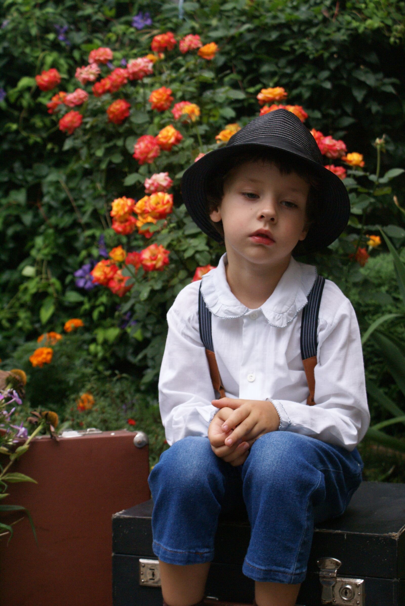 Sony Alpha DSLR-A100 sample photo. Garden, roses, boy photography