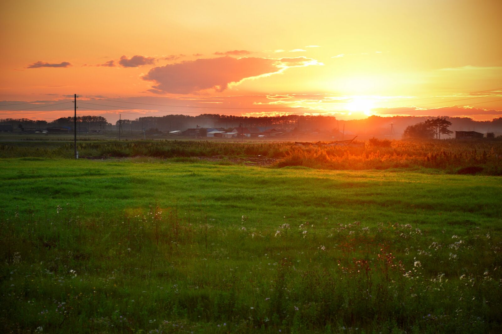 Nikon D3200 sample photo. Sunset, nature, grass photography