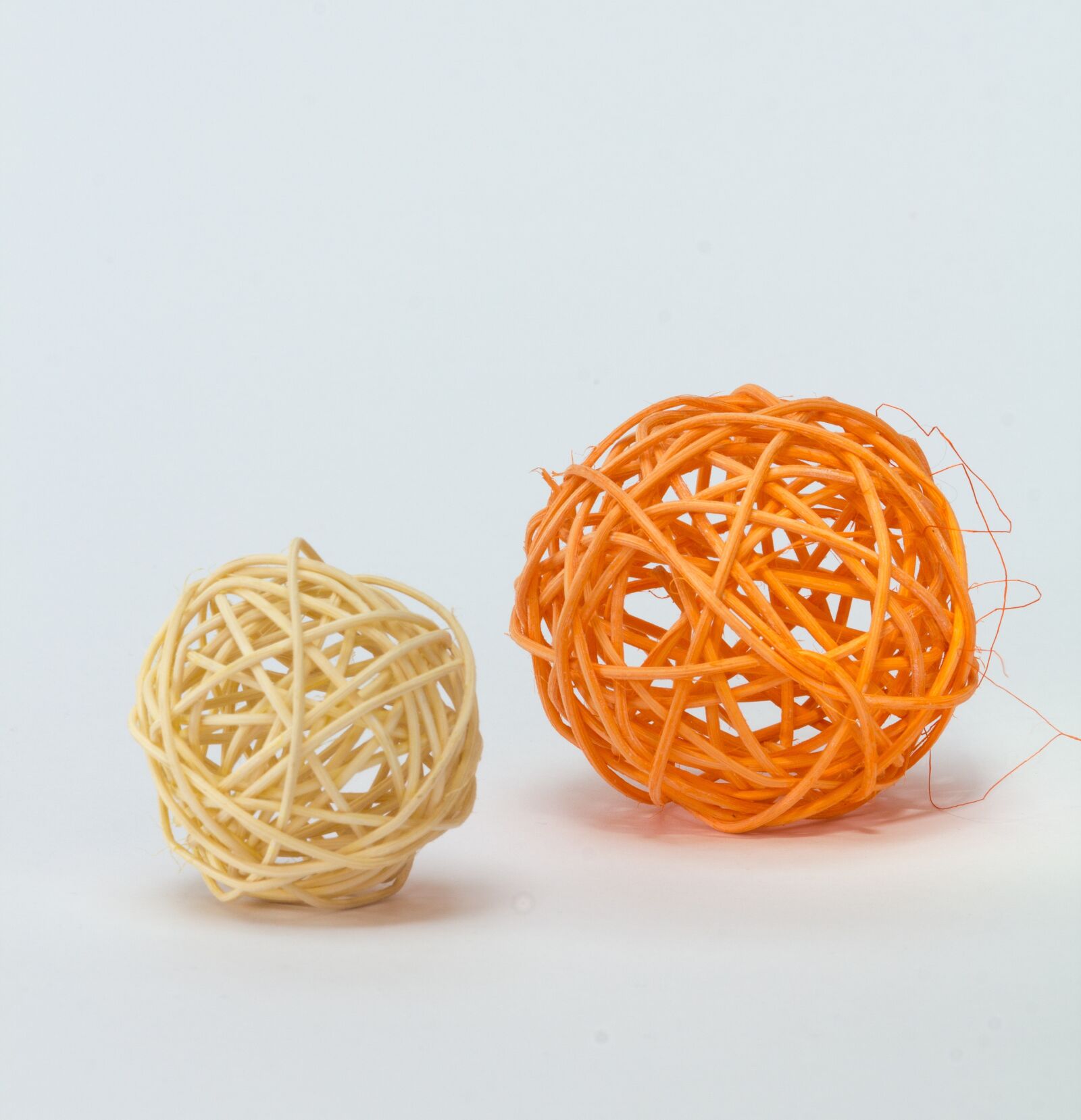 Canon EOS 60D sample photo. Nest, traditionally, isolated photography