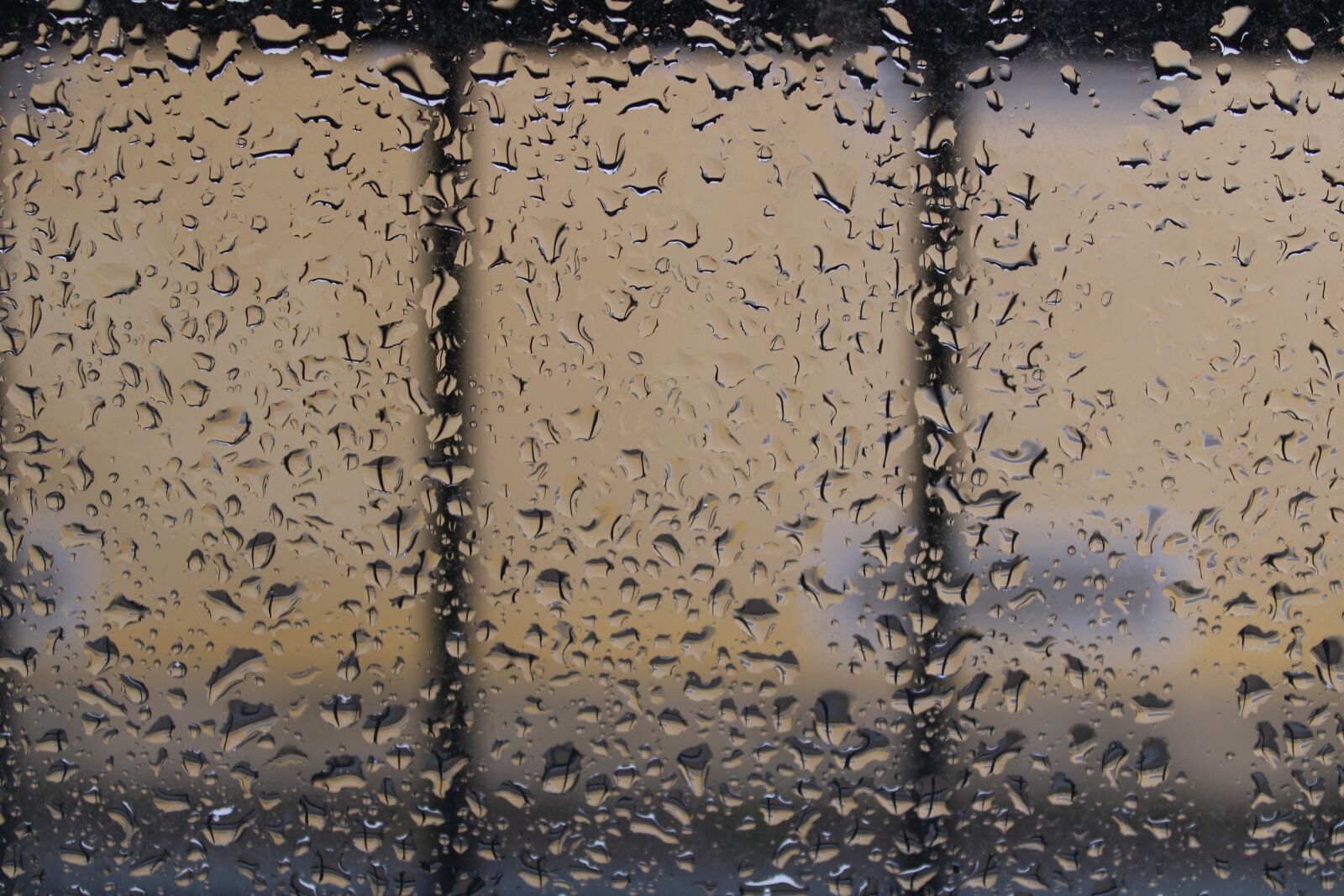 Canon EOS 2000D (EOS Rebel T7 / EOS Kiss X90 / EOS 1500D) sample photo. Rain, window, bad weather photography