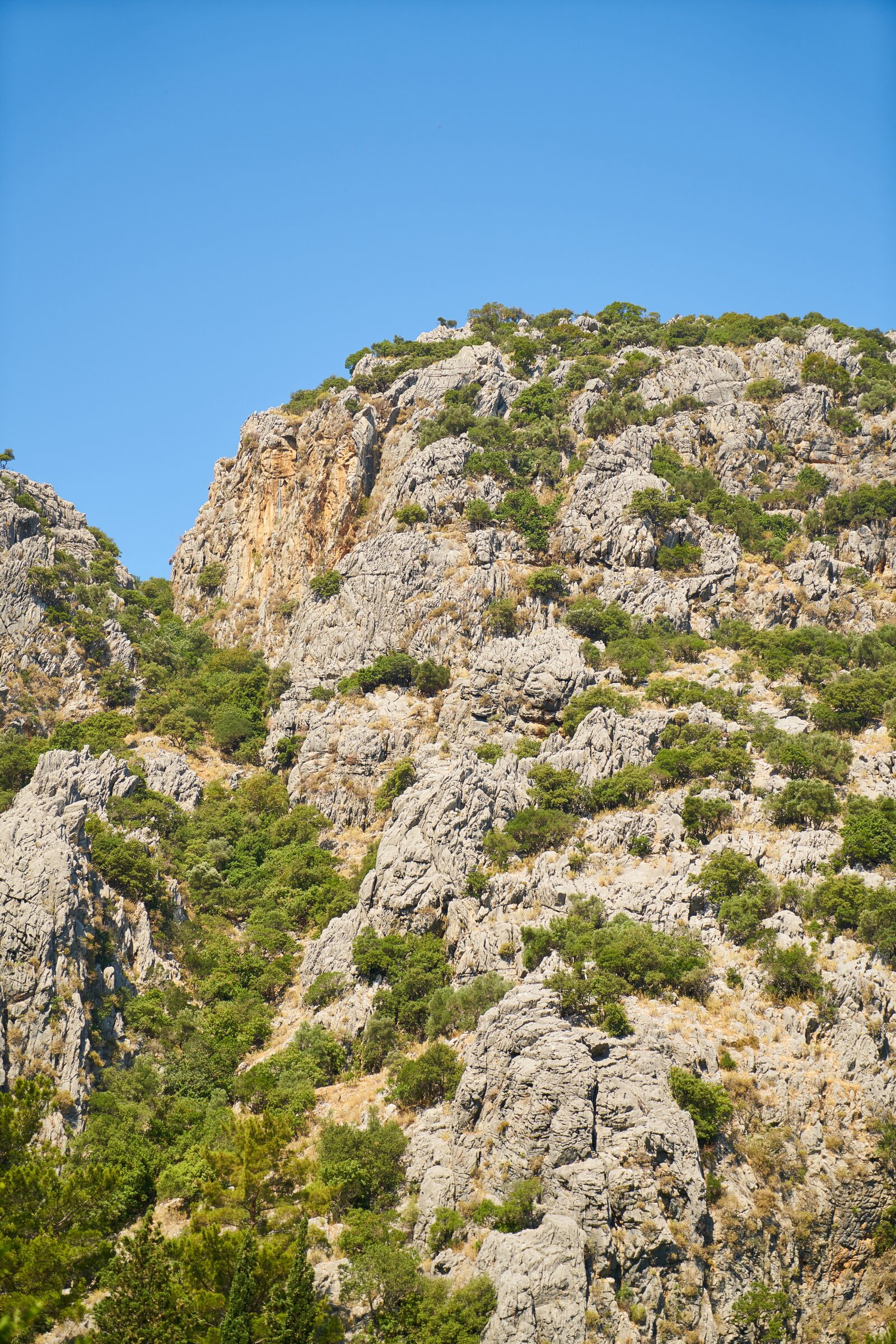 Sony a7R II + Sony Vario Tessar T* FE 24-70mm F4 ZA OSS sample photo. Mountain, rocky, kennedy photography