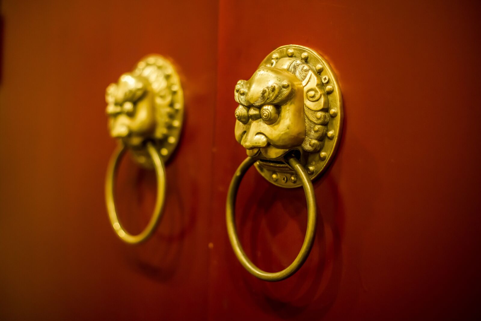 Canon EF 50mm F1.4 USM sample photo. Pen, door, entrance photography