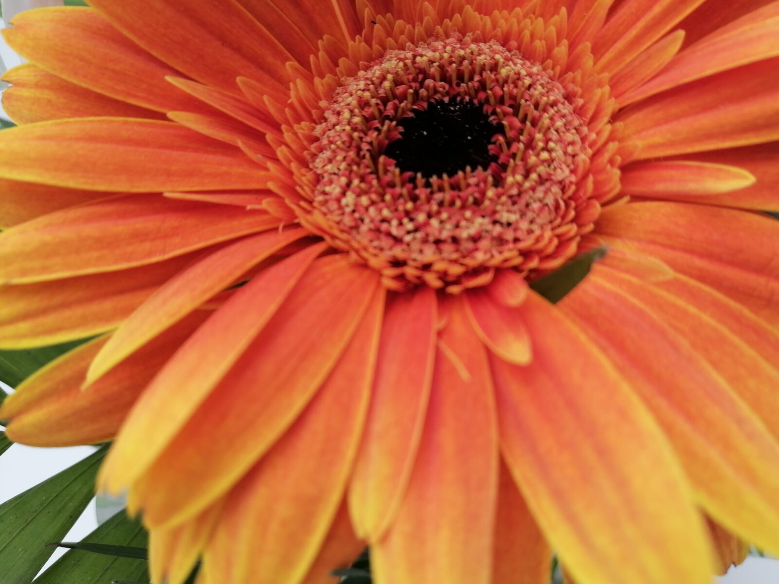 HUAWEI STK-LX1 sample photo