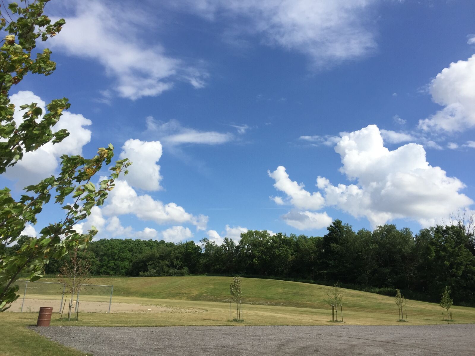 iPhone 6 back camera 4.15mm f/2.2 sample photo. Baseball, grass, hill, tree photography