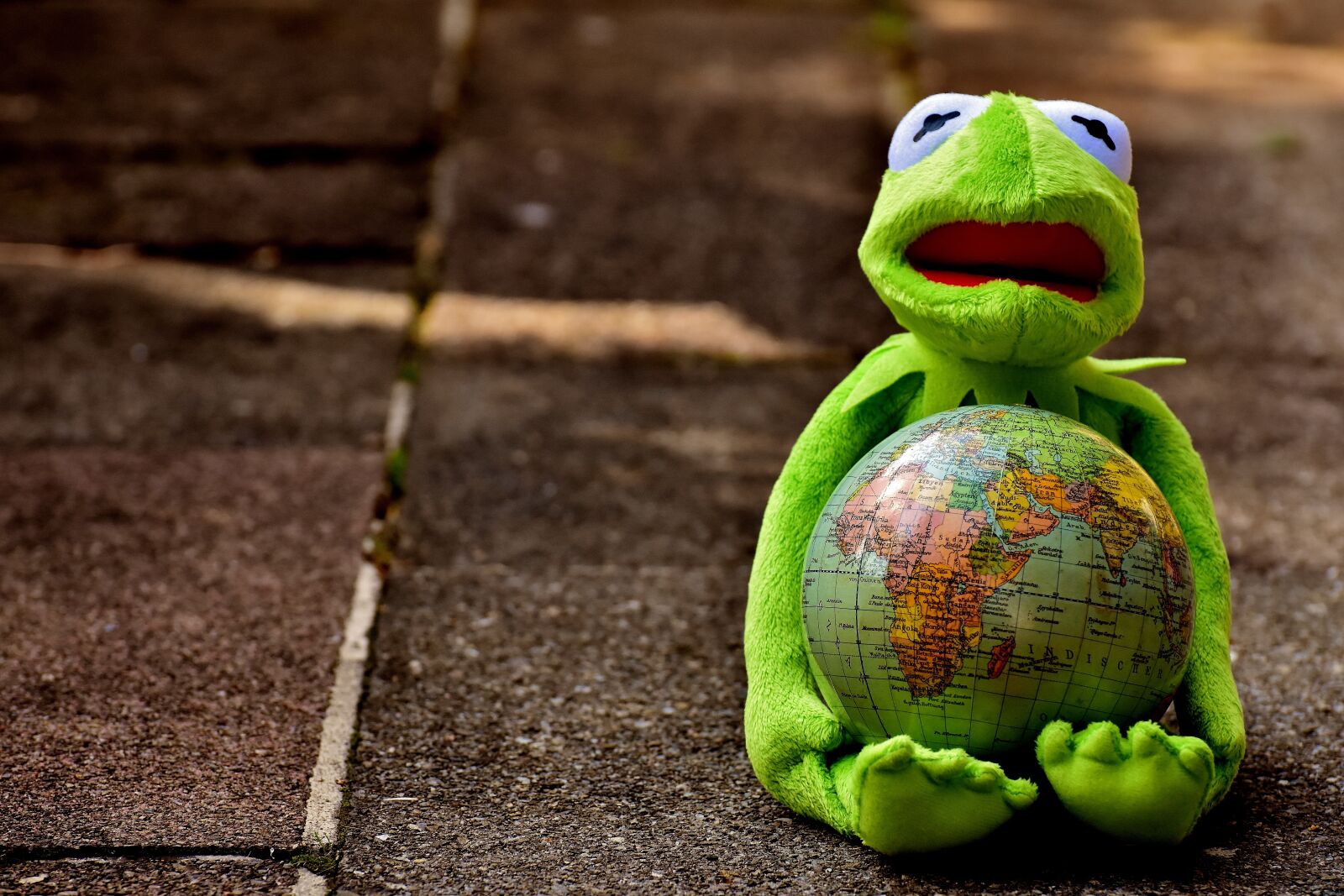 Nikon D7200 sample photo. Kermit, embrace the world photography