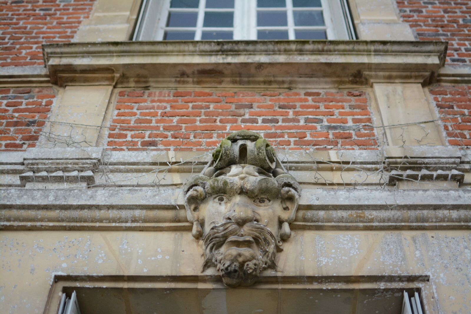 Nikon D5200 sample photo. Grotesque, architecture, france photography