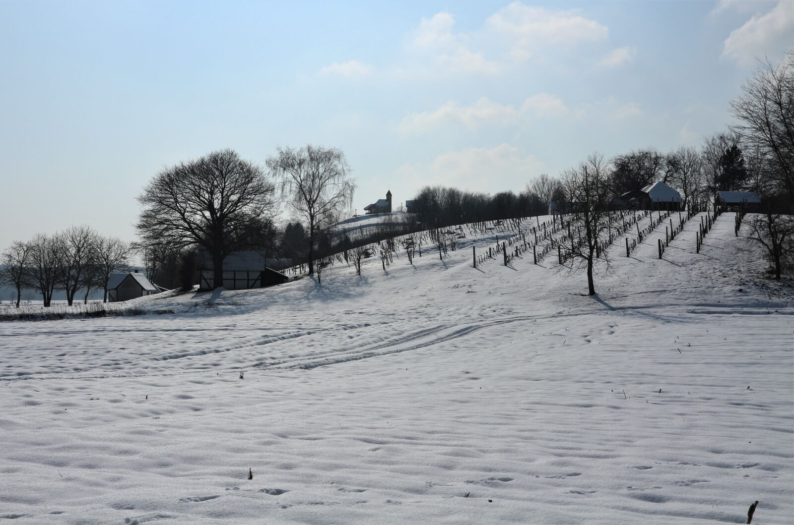 Canon EOS M10 sample photo. Winter, snow, cold photography