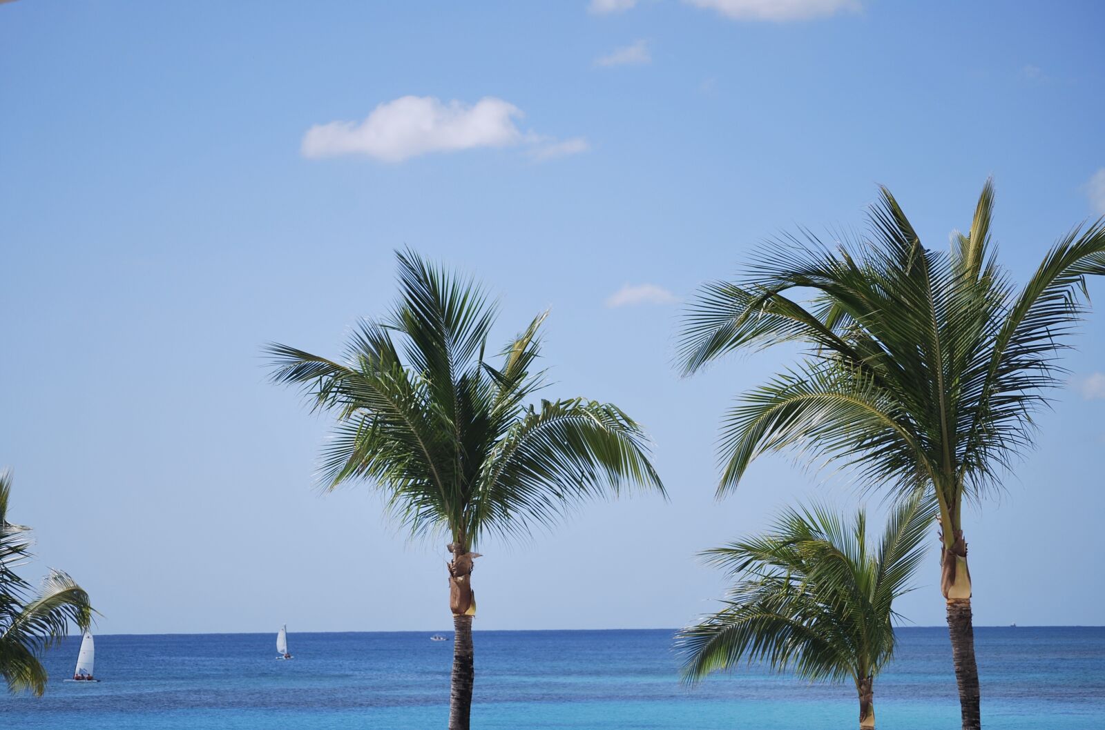 Nikon D60 sample photo. Beach, ocean, mexico photography