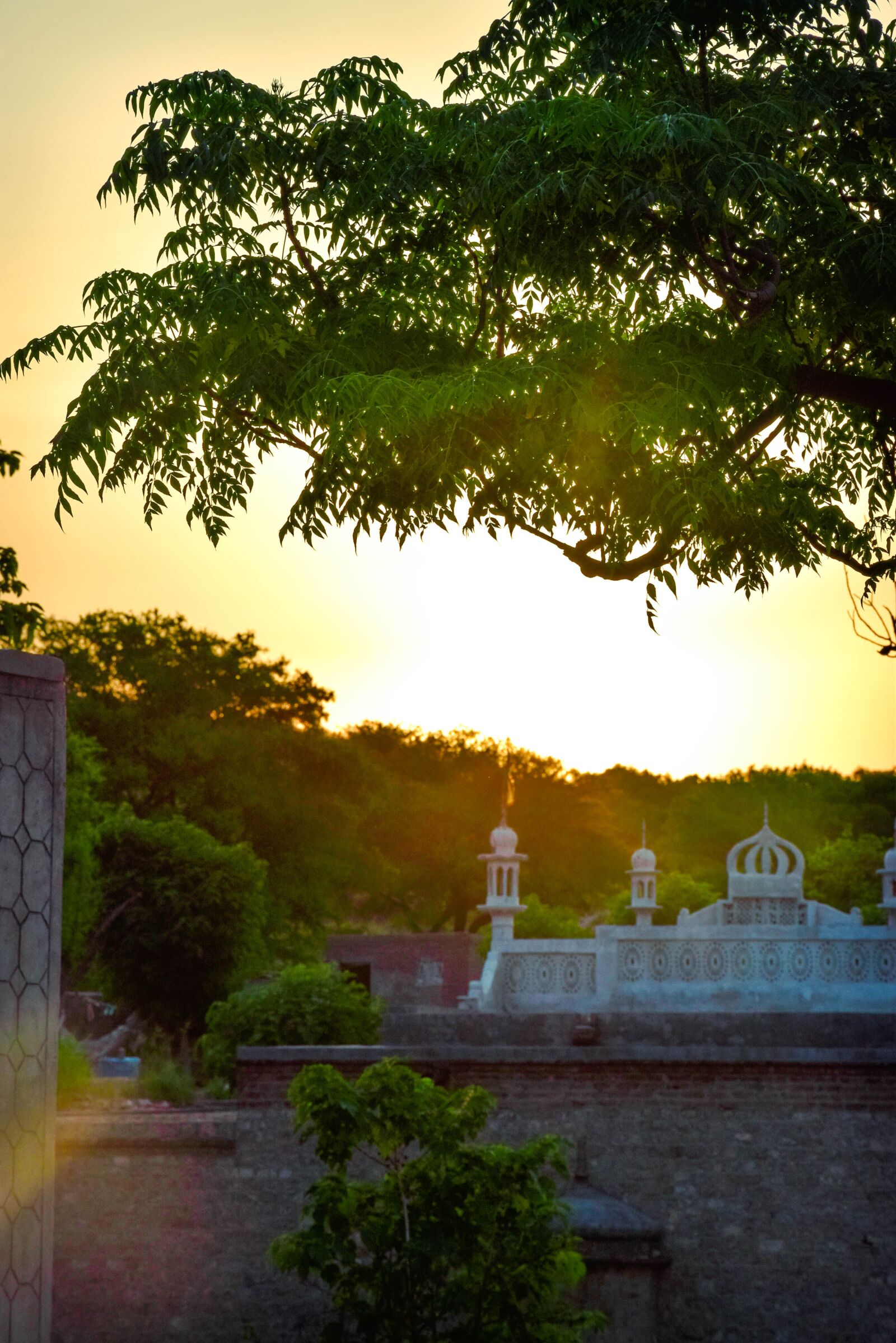 Nikon D5300 sample photo. Colors, beautiful, wow photography